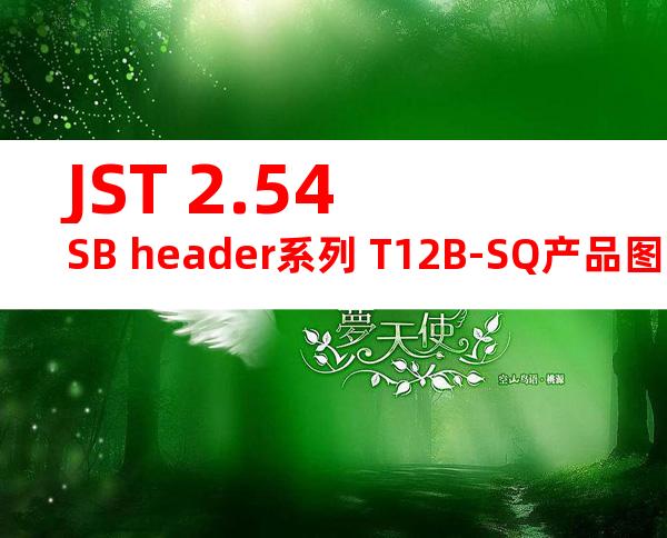 JST 2.54SB header系列 T12B-SQ产品图纸